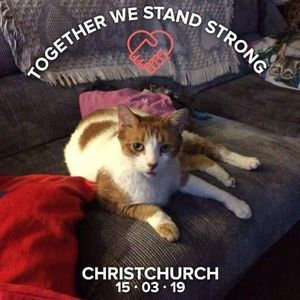 Meet your Posher, Debra